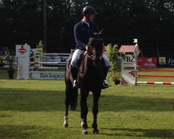 jumper Clooney R (Westphalian, 2010, from Congress)