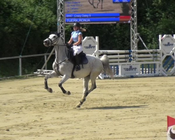 Reitturnier Ladenburg 2018
