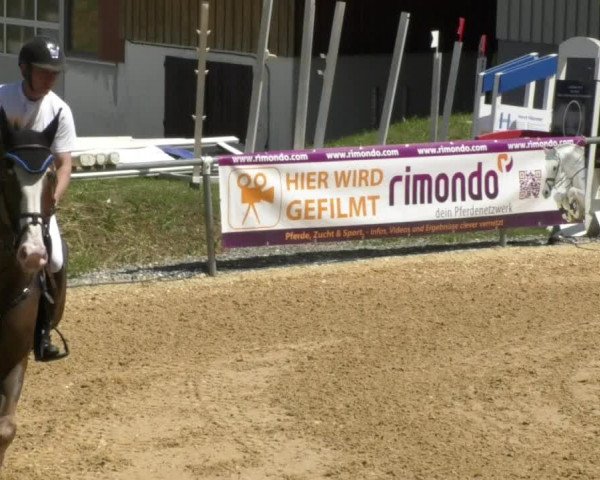 Reitturnier Bad Schussenried 2018