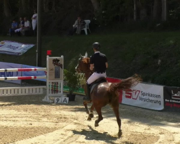 Reitturnier Bad Schussenried 2018