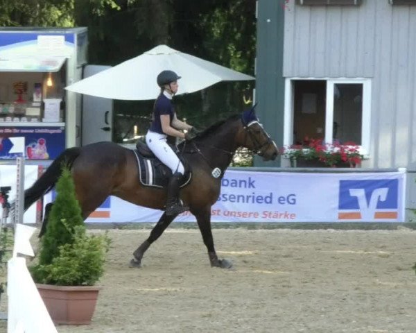 Reitturnier Bad Schussenried 2018