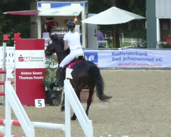 Reitturnier Bad Schussenried 2018