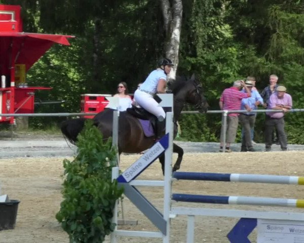 Reitturnier Bad Schussenried 2018