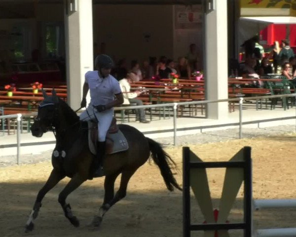 Reitturnier Bad Schussenried 2018