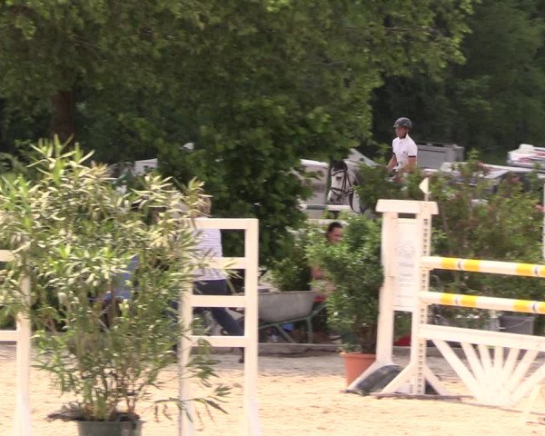 Reitturnier Oberfrauendorf 2018