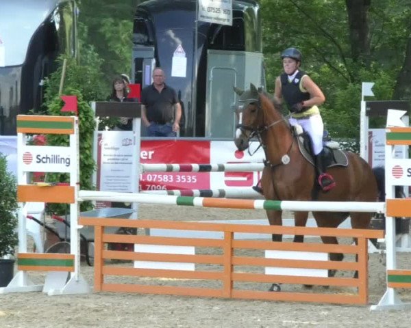 Reitturnier Bad Schussenried 2018