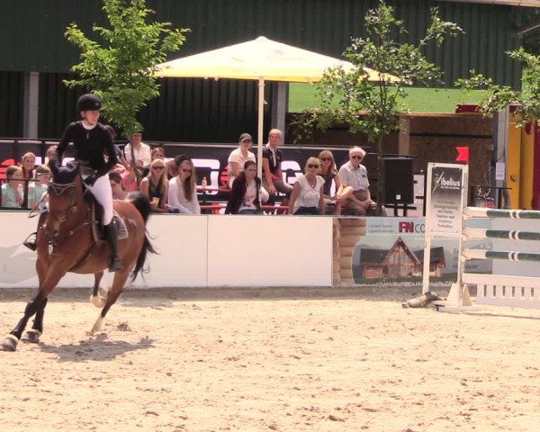 Reitturnier Oberfrauendorf 2018