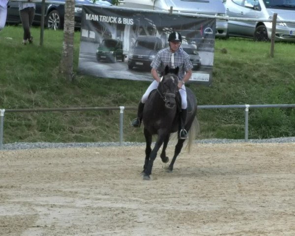 Reitturnier Bad Schussenried 2018