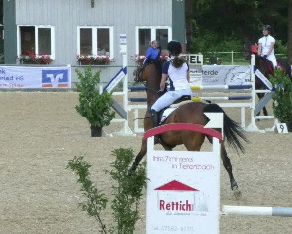 Reitturnier Bad Schussenried 2018