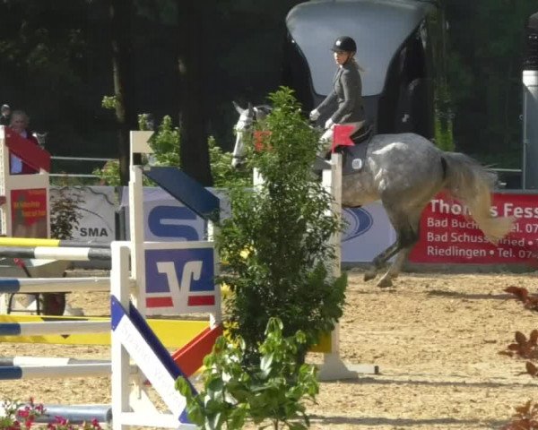 Reitturnier Bad Schussenried 2018