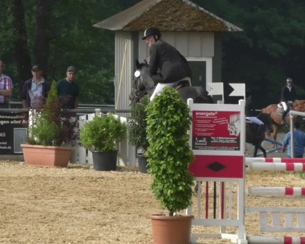 Reitturnier Bad Schussenried 2018