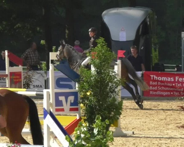 Reitturnier Bad Schussenried 2018