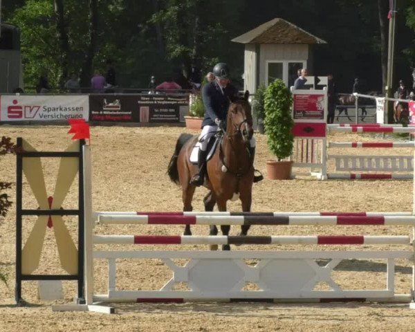 Reitturnier Bad Schussenried 2018