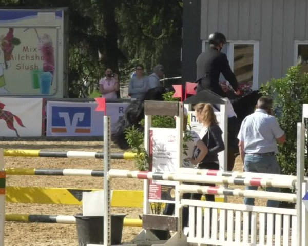 Reitturnier Bad Schussenried 2018