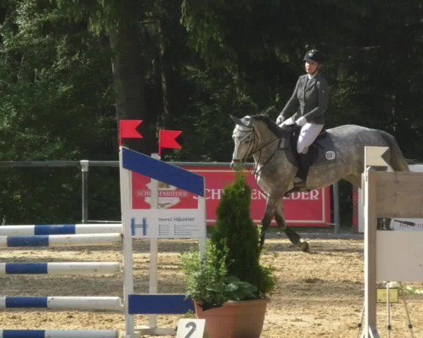 Reitturnier Bad Schussenried 2018