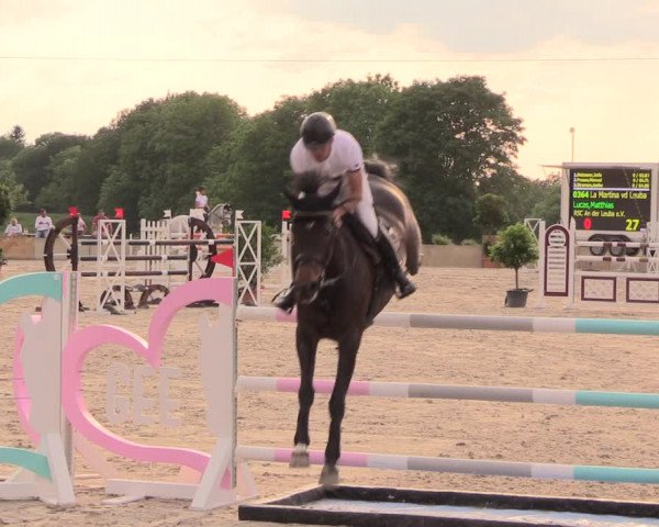 Reitturnier Oberfrauendorf 2018