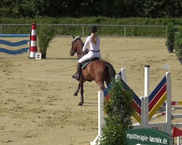 Reitturnier Ladenburg 2018