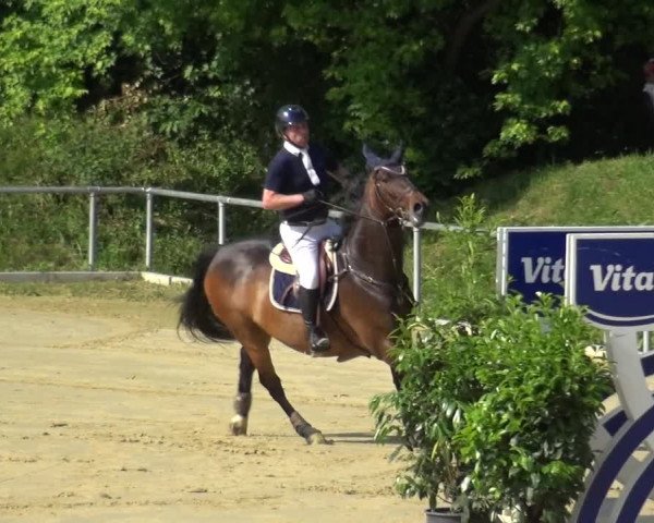 Reitturnier Ladenburg 2018