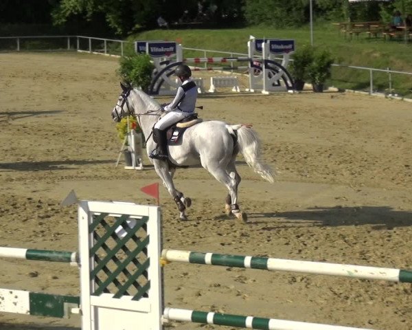 Reitturnier Ladenburg 2018