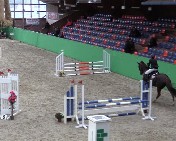 Krumke Hallenturnier mit KM 2021