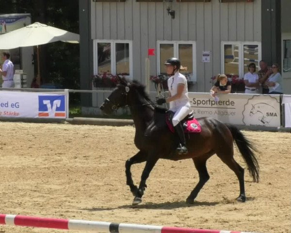 Reitturnier Bad Schussenried 2018