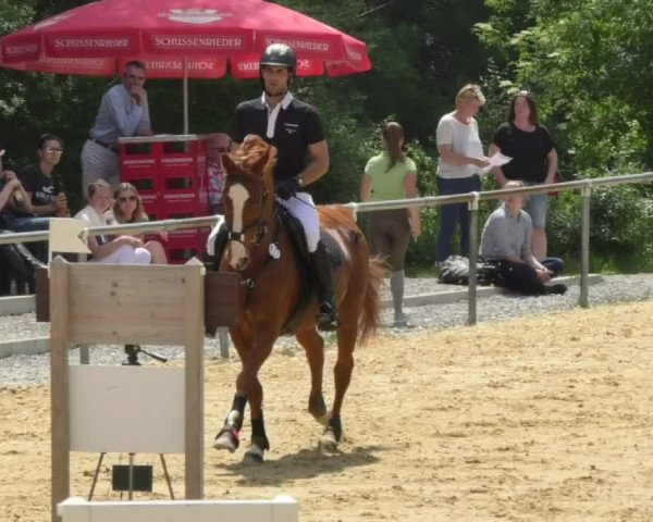 Reitturnier Bad Schussenried 2018