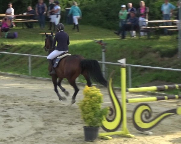 Reitturnier Ladenburg 2018