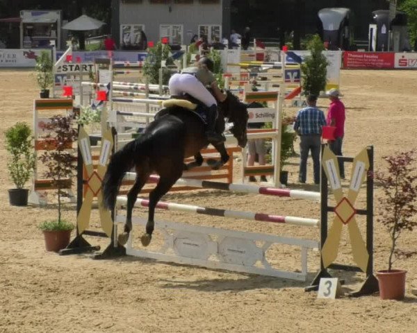 Reitturnier Bad Schussenried 2018