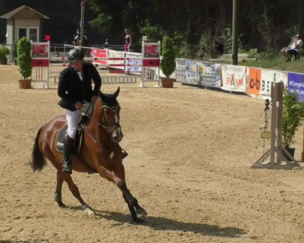Reitturnier Bad Schussenried 2018