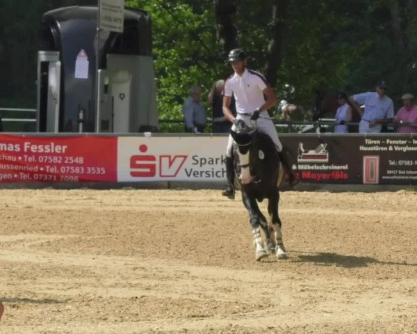 Reitturnier Bad Schussenried 2018