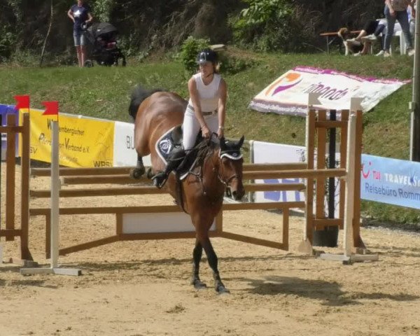 Reitturnier Bad Schussenried 2018