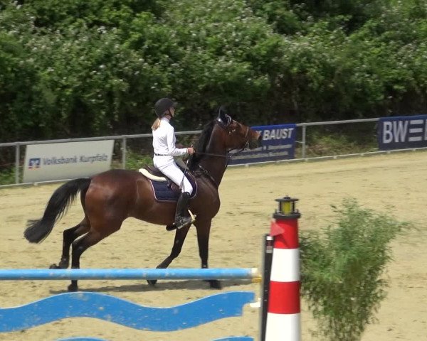 Reitturnier Ladenburg 2018