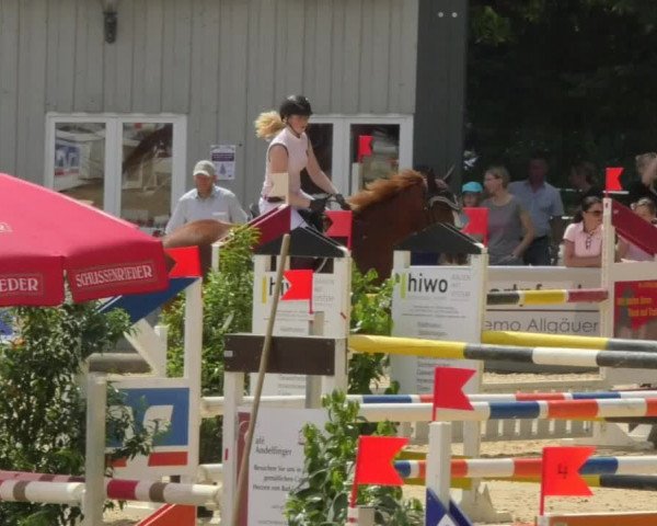 Reitturnier Bad Schussenried 2018