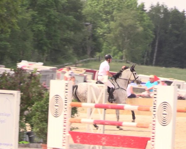 Reitturnier Oberfrauendorf 2018