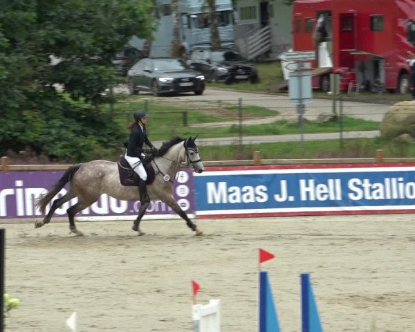 Reitturnier Westergellersen 2021