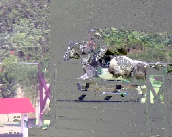 Reitturnier Ladenburg 2018