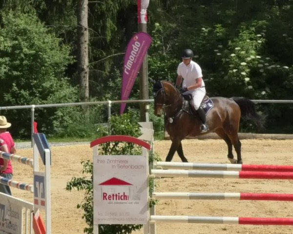 Reitturnier Bad Schussenried 2018