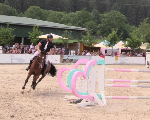 Reitturnier Oberfrauendorf 2018