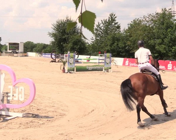 Reitturnier Oberfrauendorf 2018