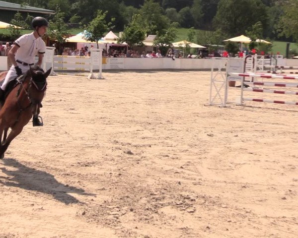 Reitturnier Oberfrauendorf 2018