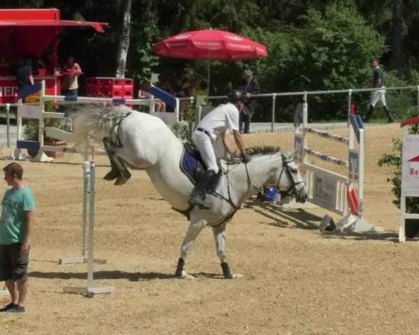 Reitturnier Bad Schussenried 2018