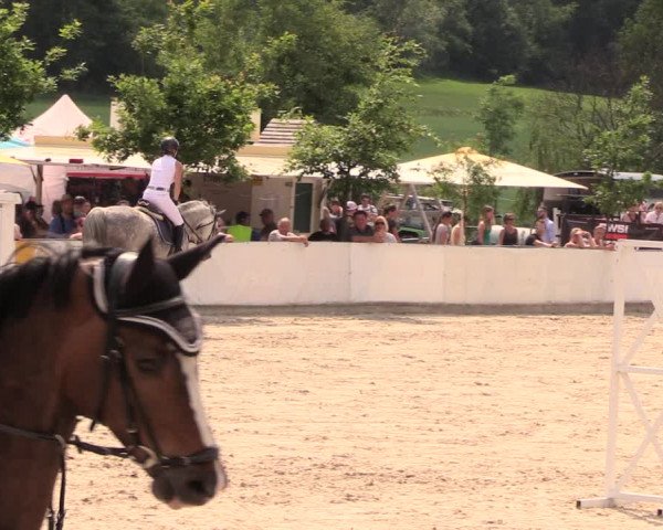 Reitturnier Oberfrauendorf 2018