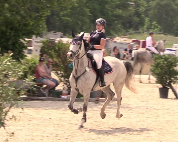 Reitturnier Oberfrauendorf 2018