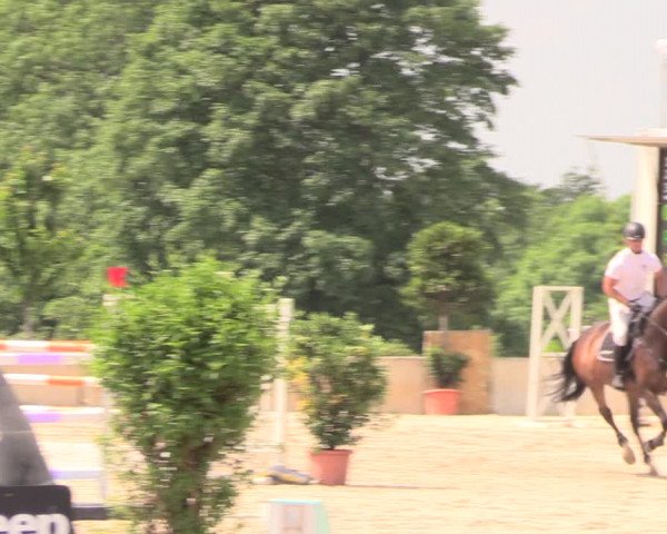 Reitturnier Oberfrauendorf 2018