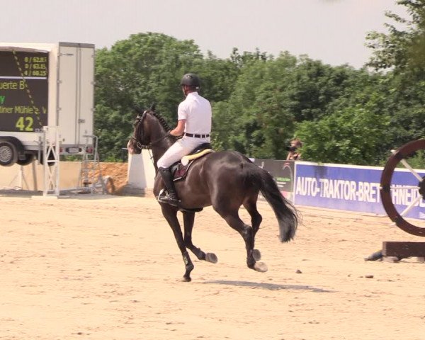 Reitturnier Oberfrauendorf 2018