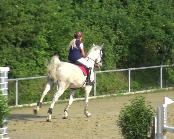Reitturnier Ladenburg 2018