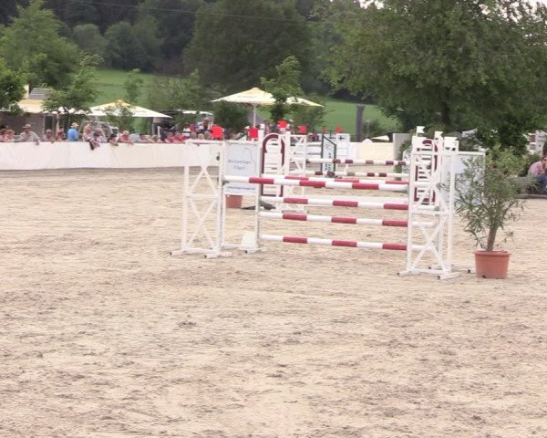 Reitturnier Oberfrauendorf 2018