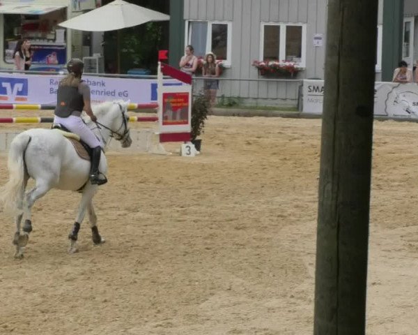 Reitturnier Bad Schussenried 2018
