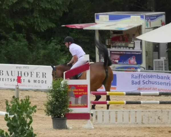 Reitturnier Bad Schussenried 2018