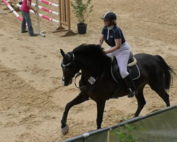 Reitturnier Bad Schussenried 2018